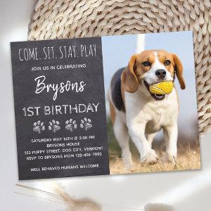 Come Sit Stay Play Chalkboard Puppy Dog Birthday   Postcard