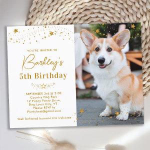 Gold Stars Personalized Pet Photo Dog Birthday  Postcard