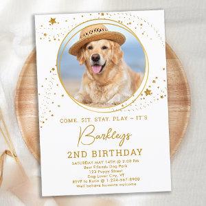 Personalized Pet Photo Gold Stars Dog Birthday