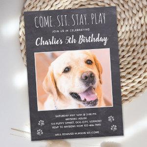 Rustic Dog Birthday Party Puppy Pet Photo  Postcard